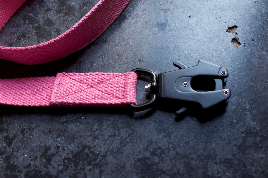 pinkdogleashwithstrongsafeclip