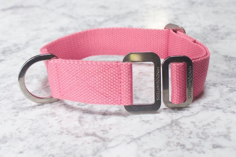 pink hindquarters dog collar