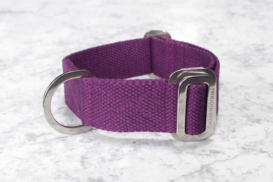 purple dog collar