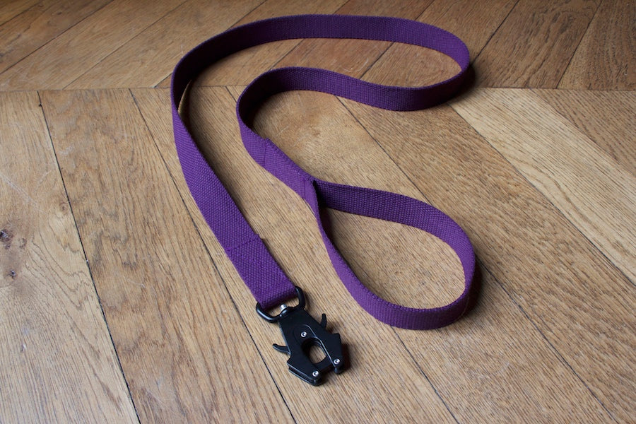 prple dog lead with comfy handle and reliable clip