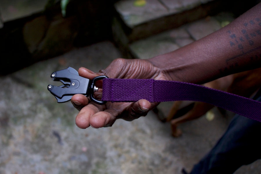 purple dog lead with strong clip
