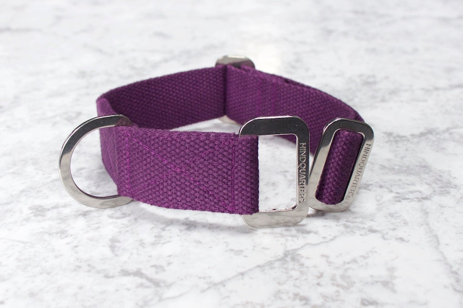 purple Hindquarters dog collar