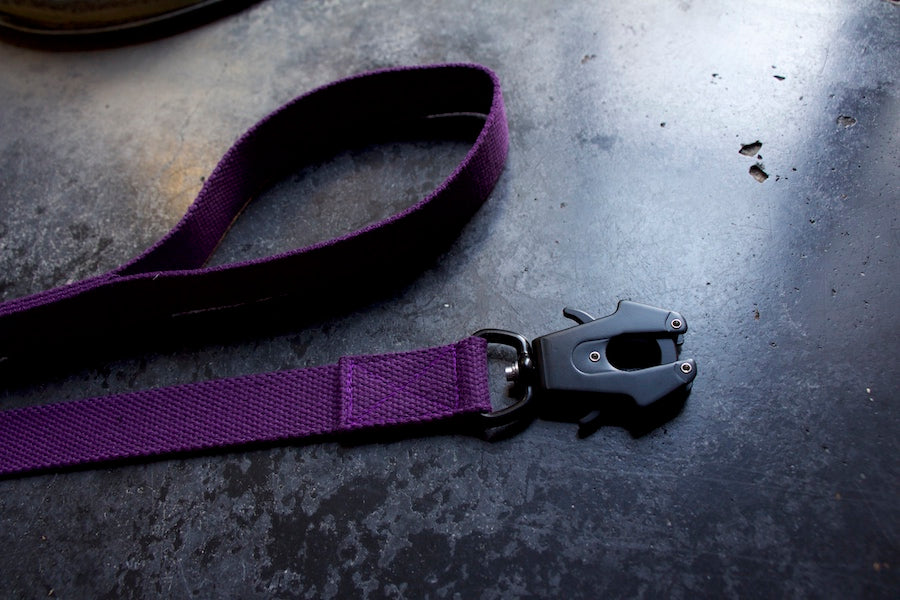 purpleleashfordogwithstrongclipandcomfyhandle