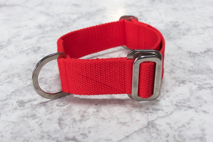 red dog collar