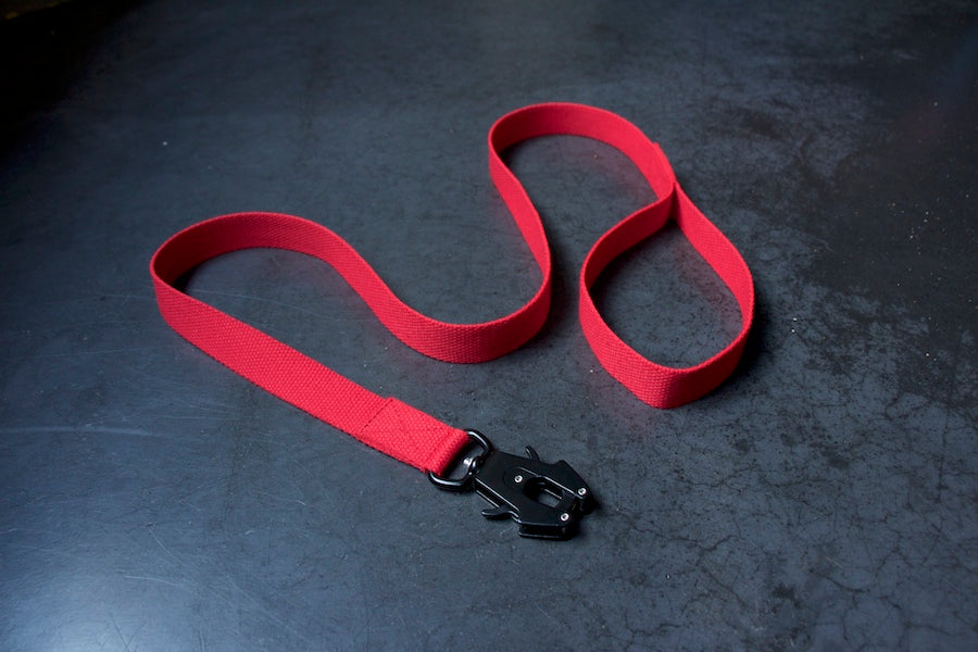 reddogleadthatiscomfytoholdwithstrongclip