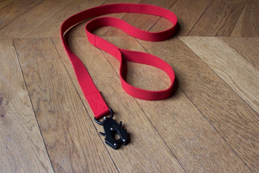red dog lead with comfy handle and reliable clip