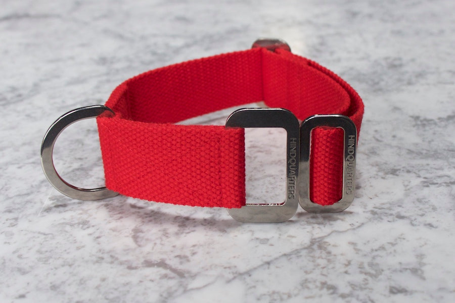 red hindquarters dog collar