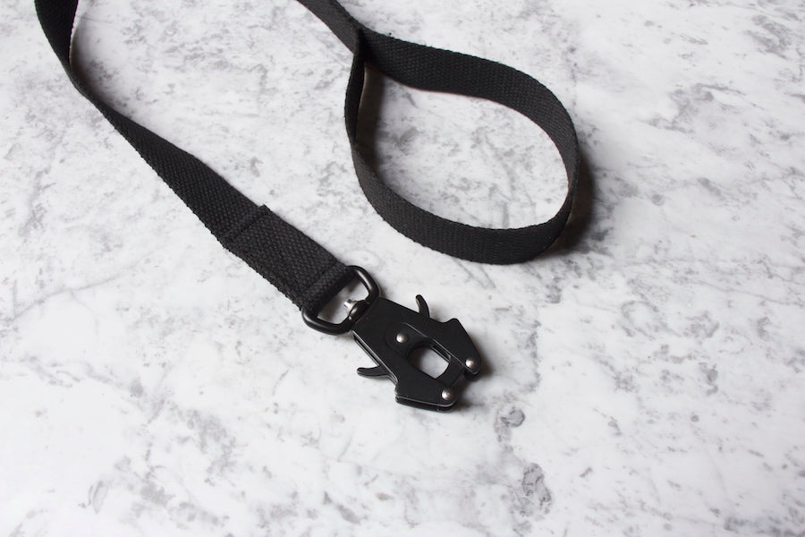 reliable black dog lead