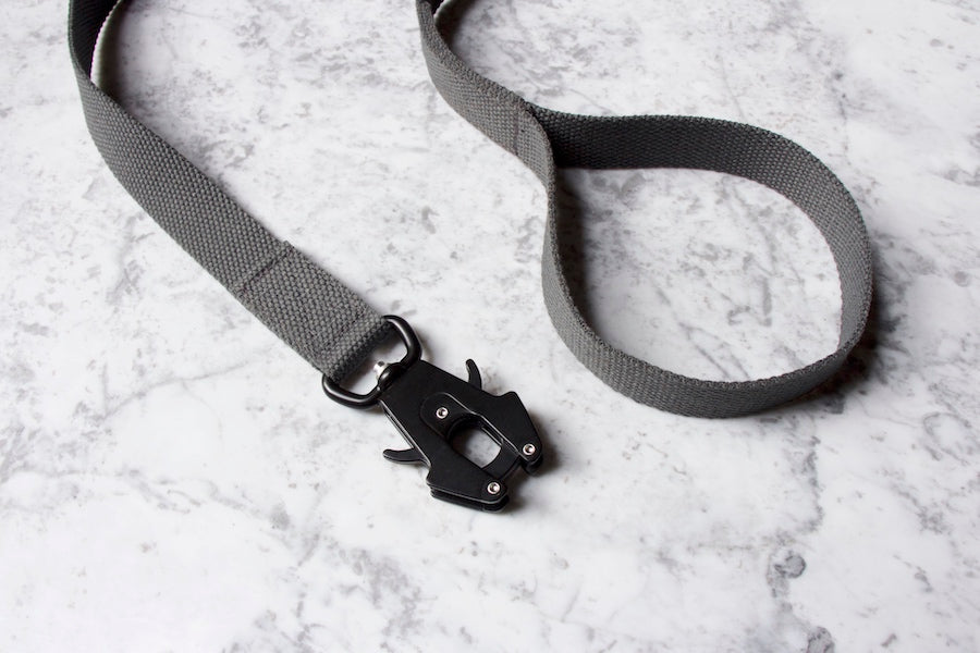 reliable grey dog lead