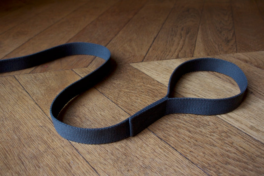 slim grey dog lead with comfy handle