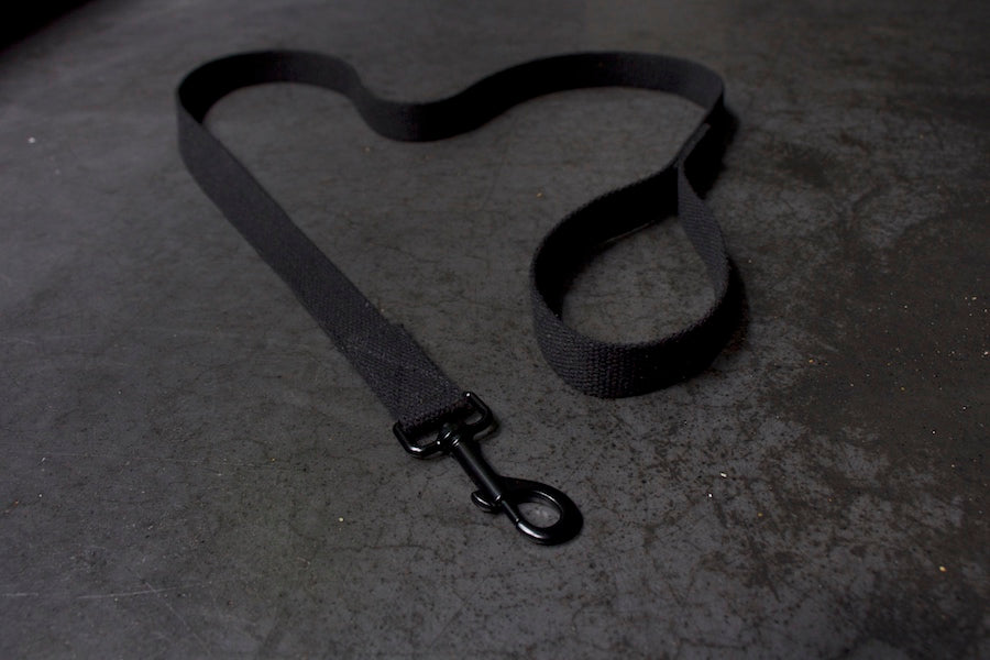 smart black dog lead