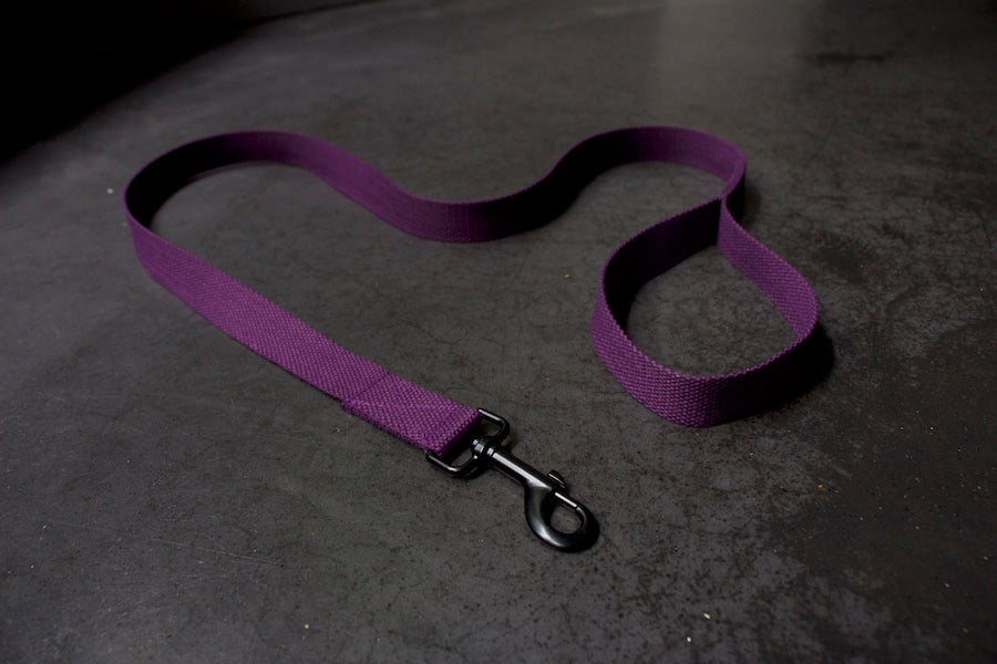 smart purple dog lead