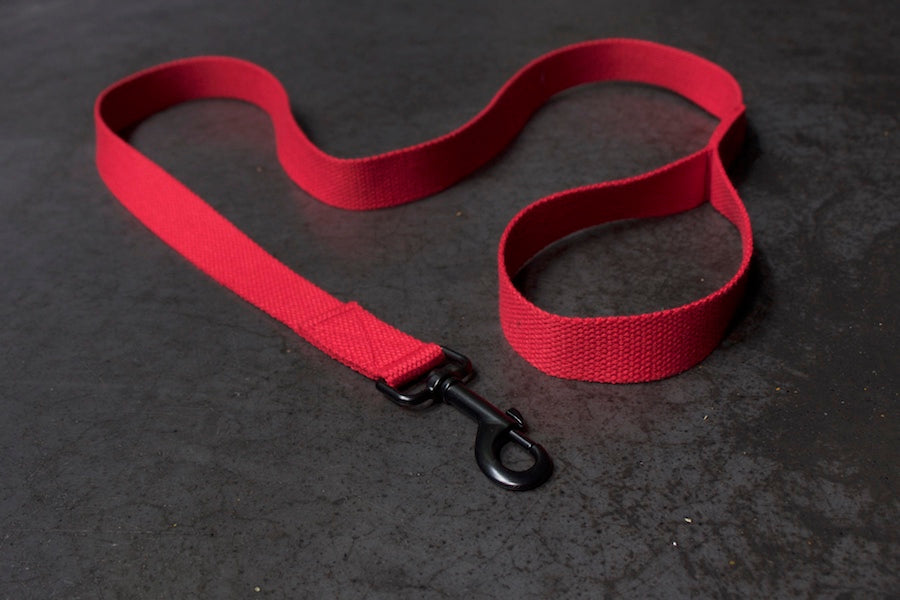 smart red dog lead