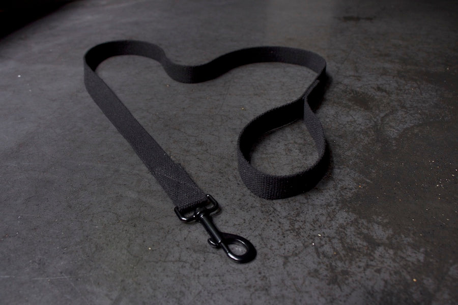 stylish black dog lead