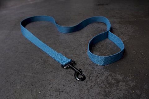 stylish blue dog lead