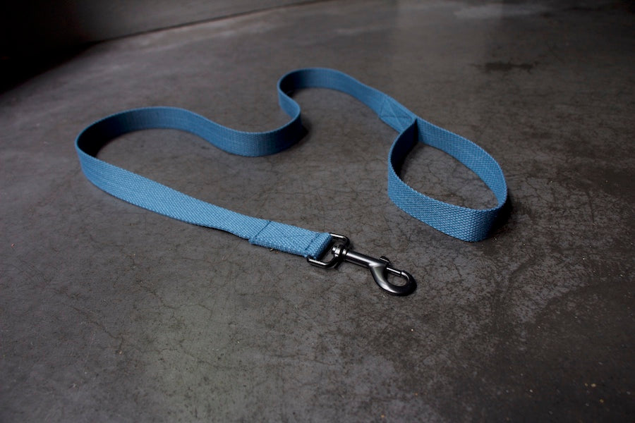 stylish blue lead for dog