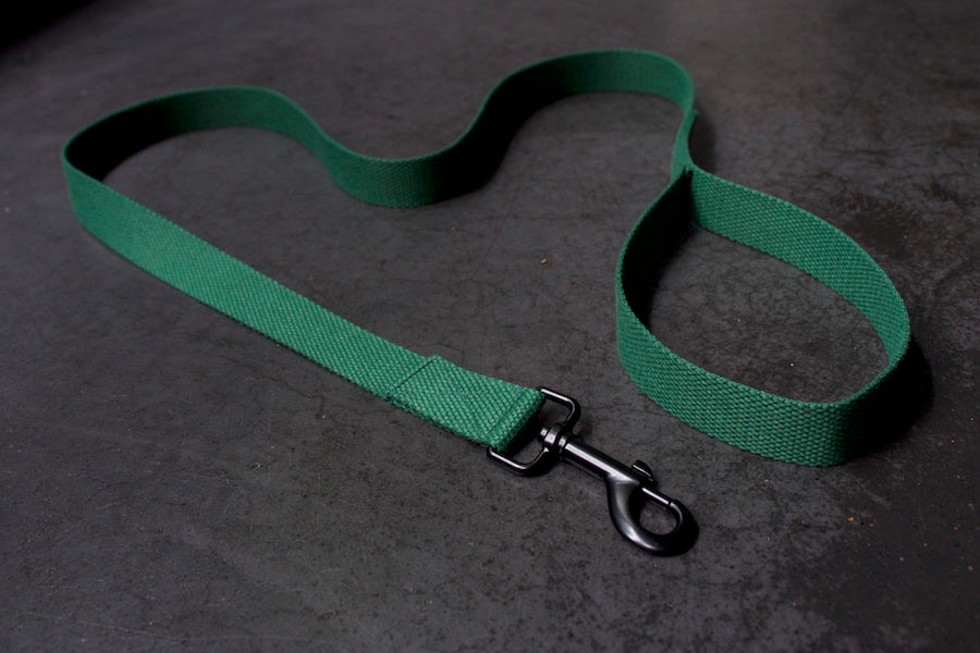 stylish cool green dog lead