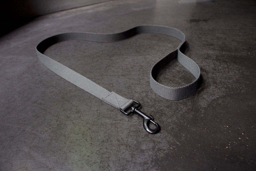 stylish grey dog lead