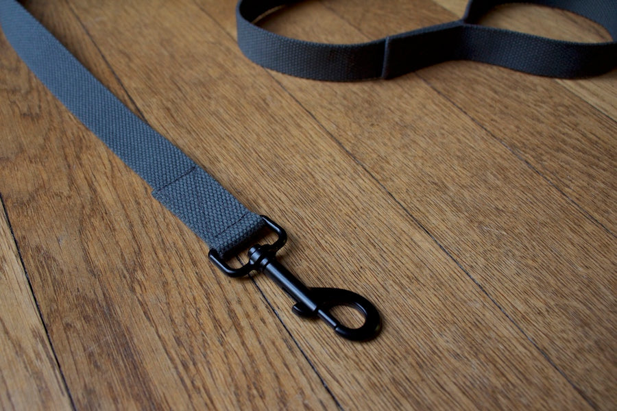 stylish grey dog lead with black clip