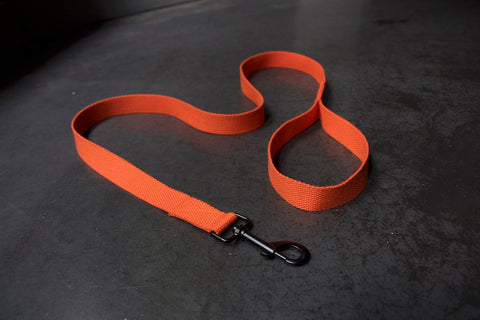 stylish orange dog lead with black clip