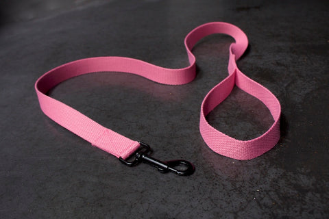 stylish pink dog lead