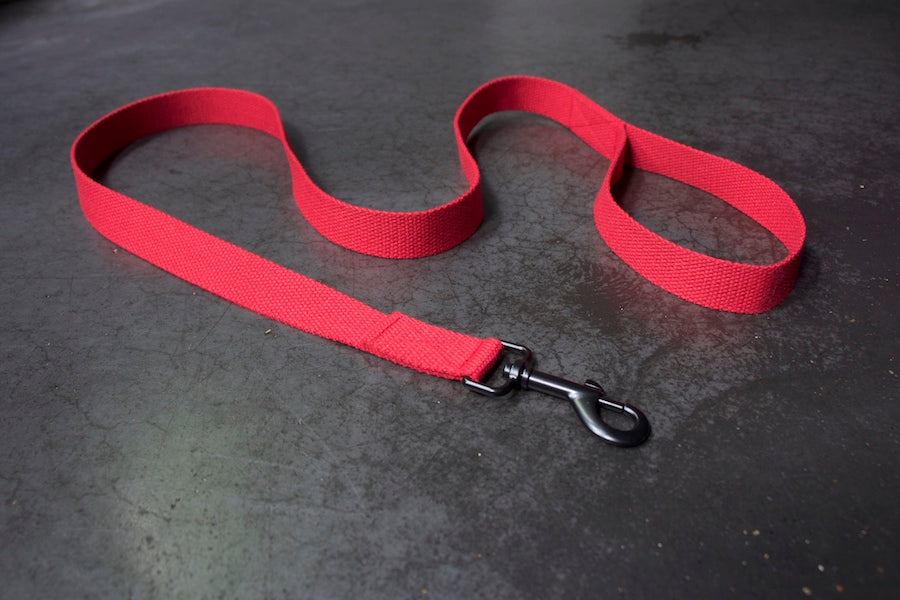 stylish red dog lead with black clip