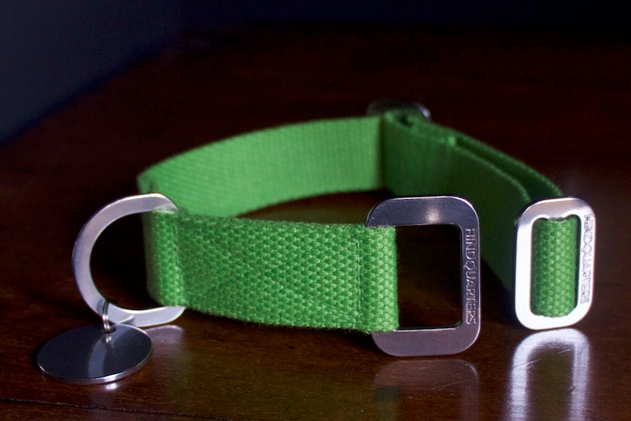 adjustable lime dog collar