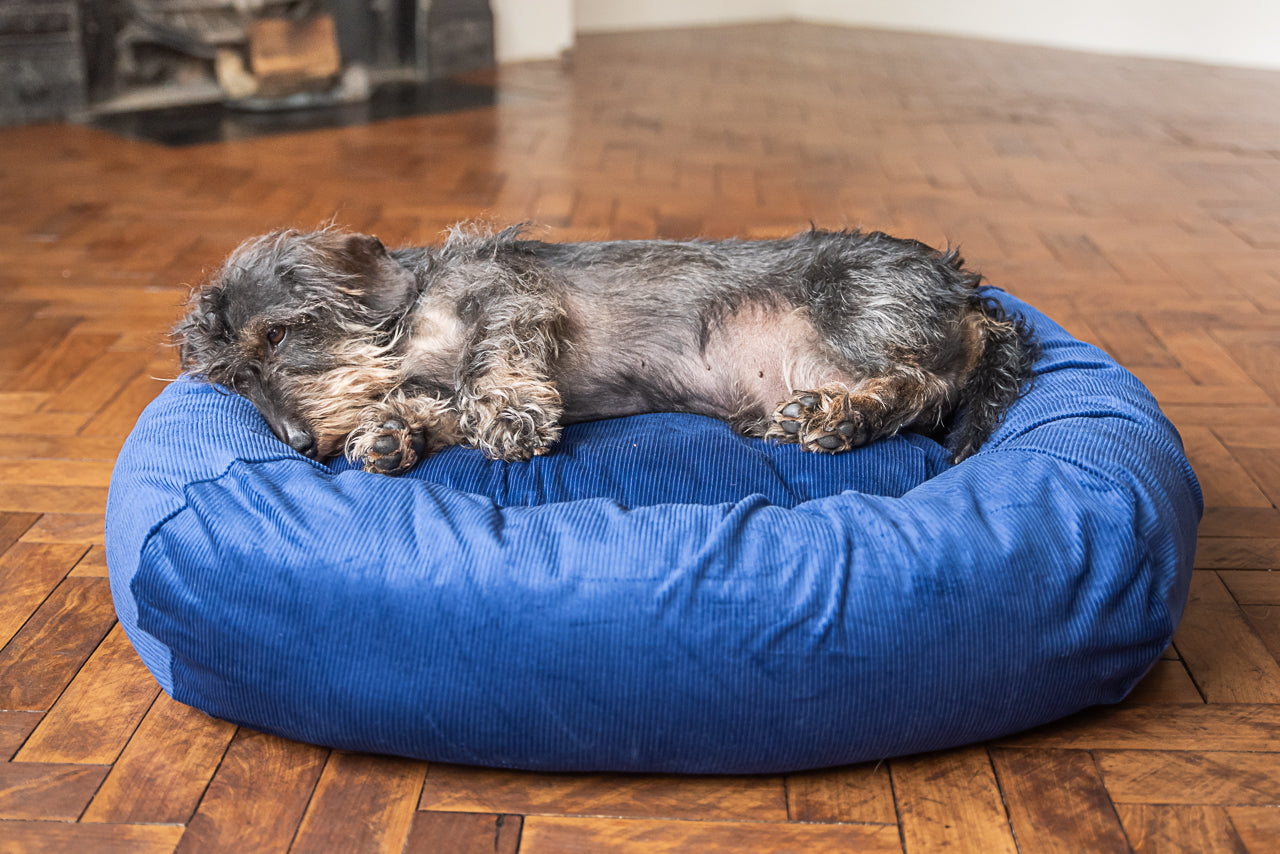 blue corduroy dog bed