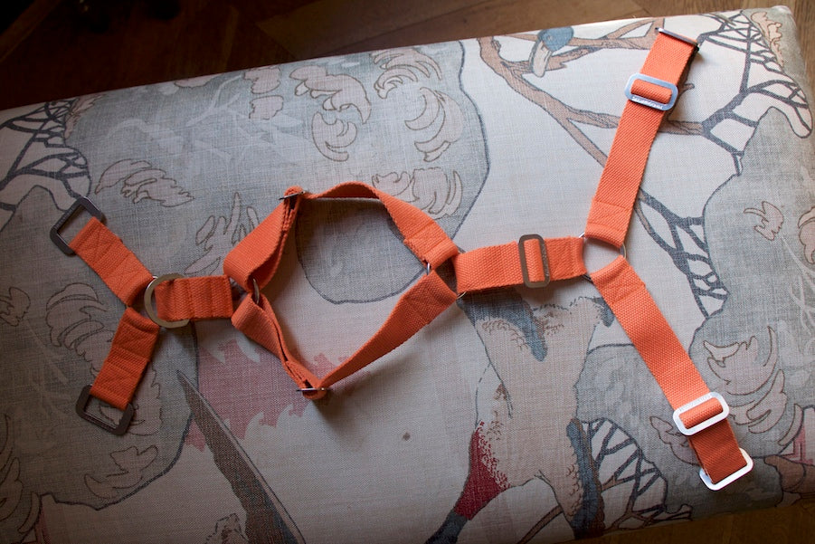 comfortable orange harness for dog