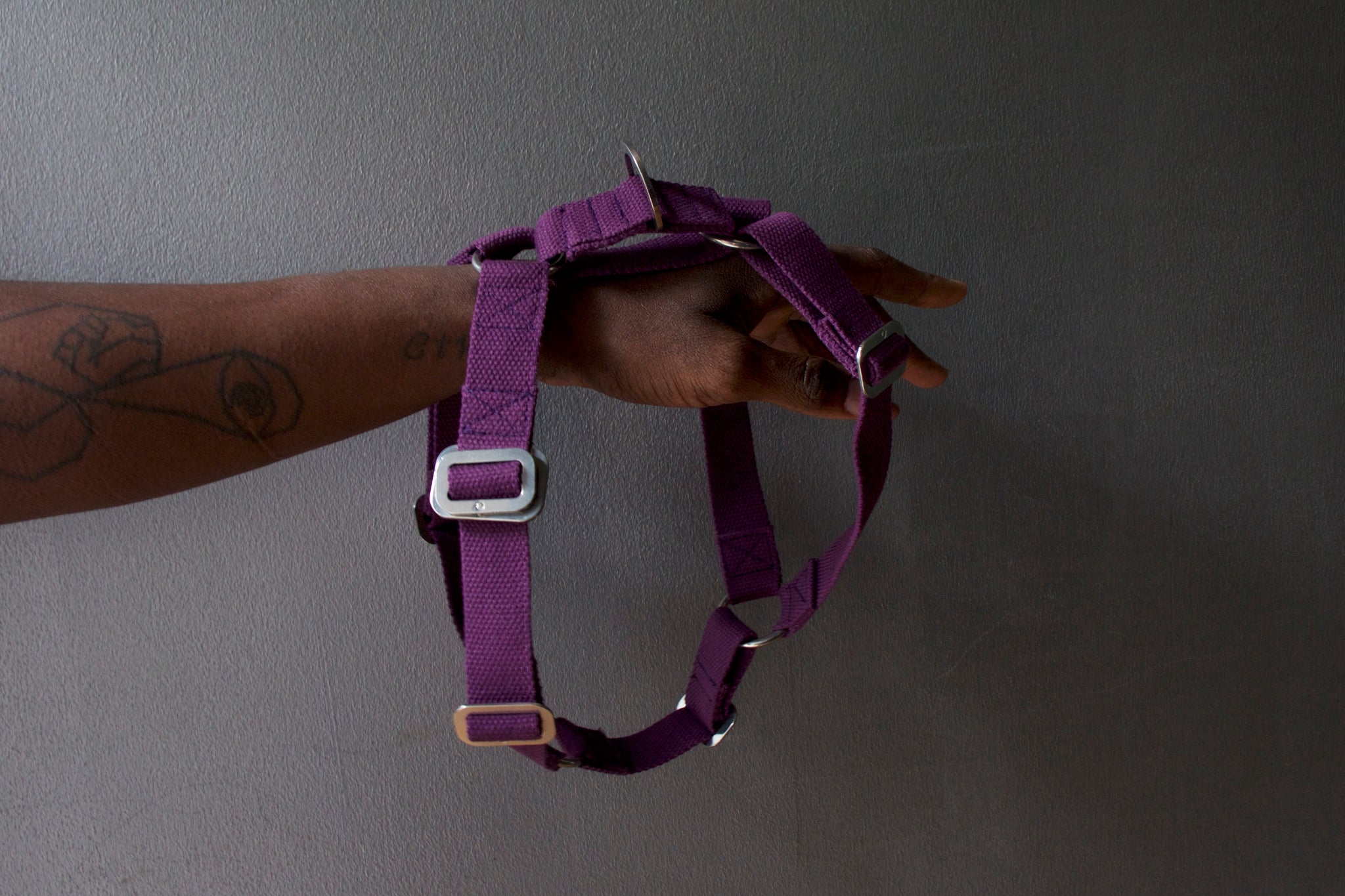 comfy purple harness for dog