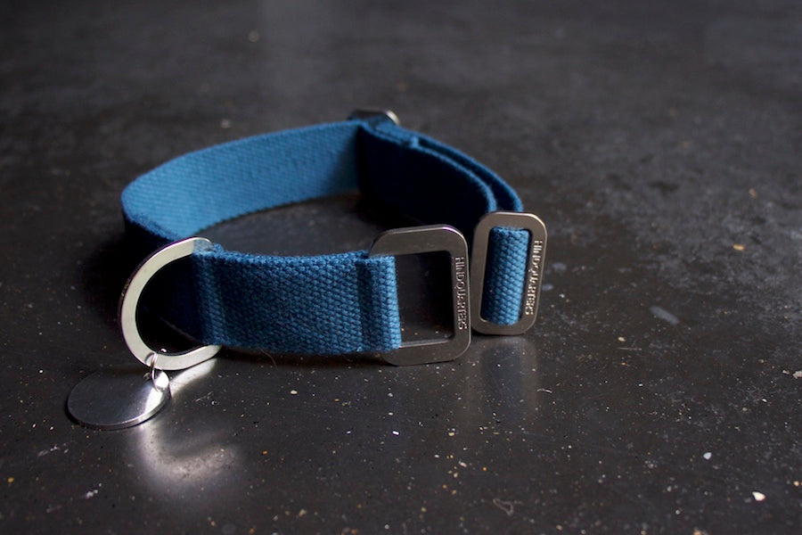 comfy blue dog collar
