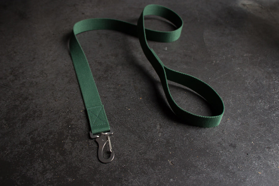 green dog lead