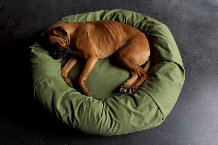 green dog bed for large dog