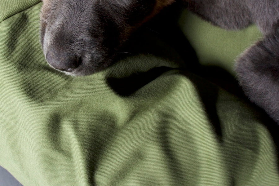 green soft cotton dog bed covers