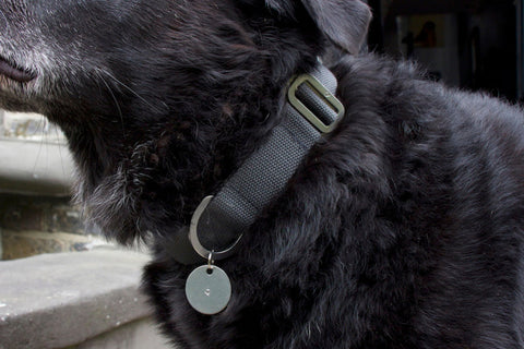 grey cotton fabric dog collar