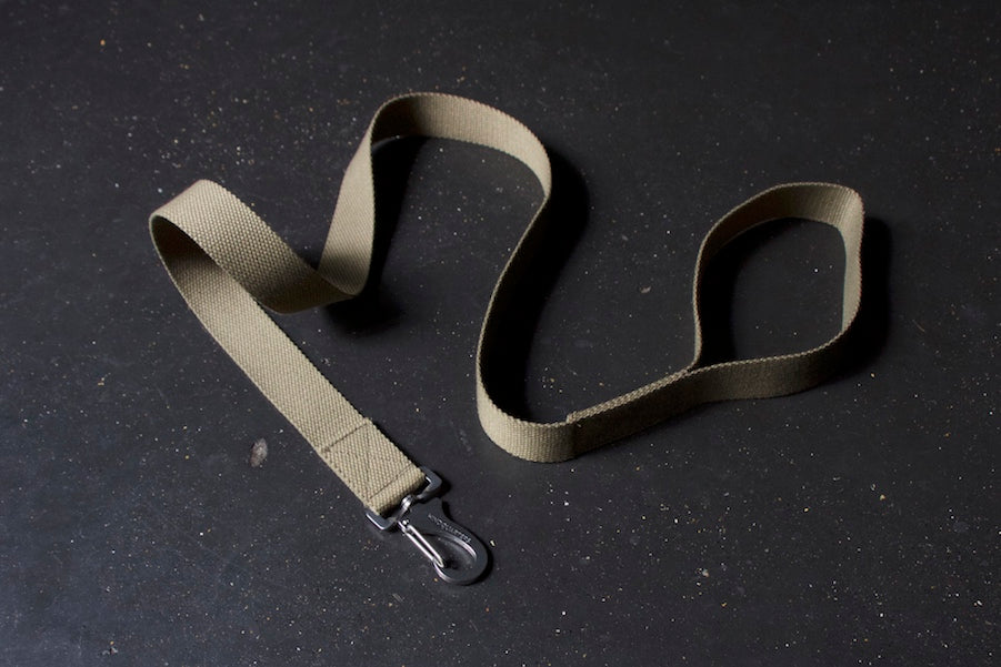 khaki dog lead