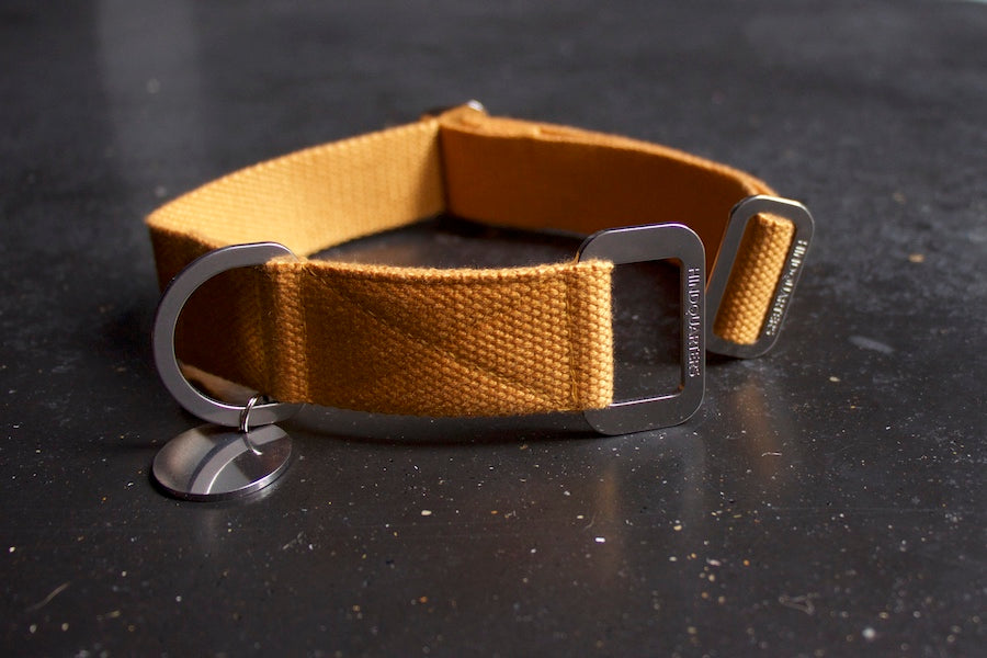 mustard dog collar