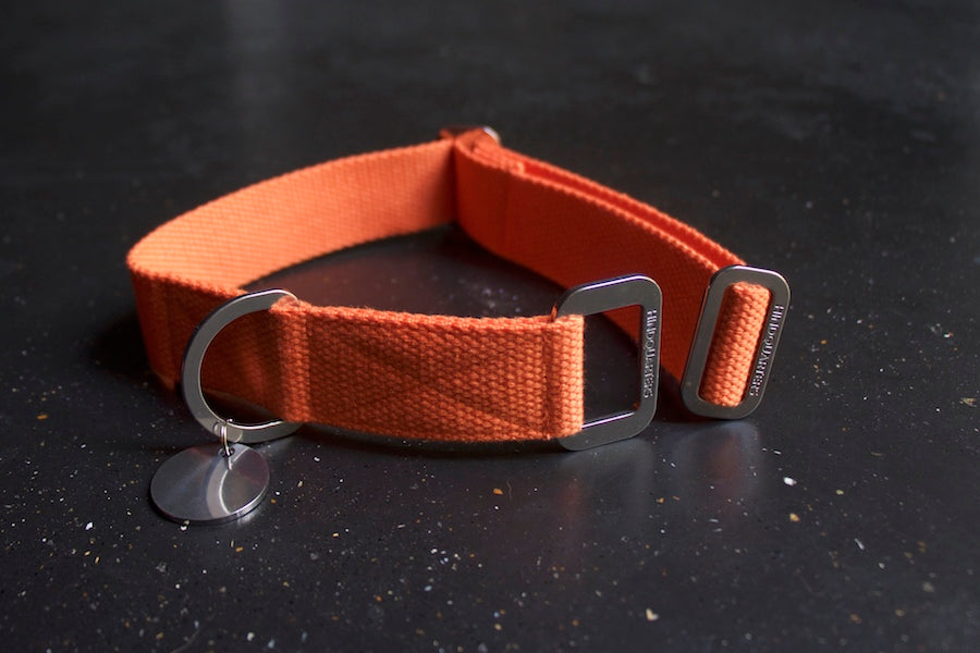 orange comfy collar for dog