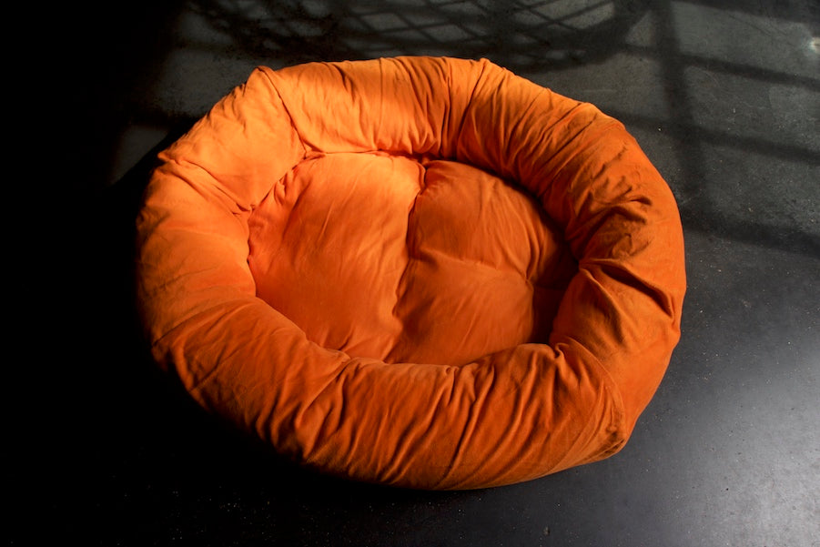 orange moleskin dog bed