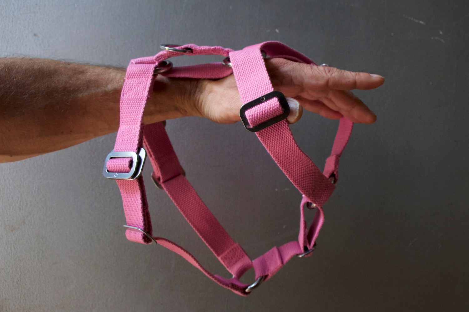 pink harness