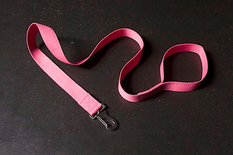 pink dog lead