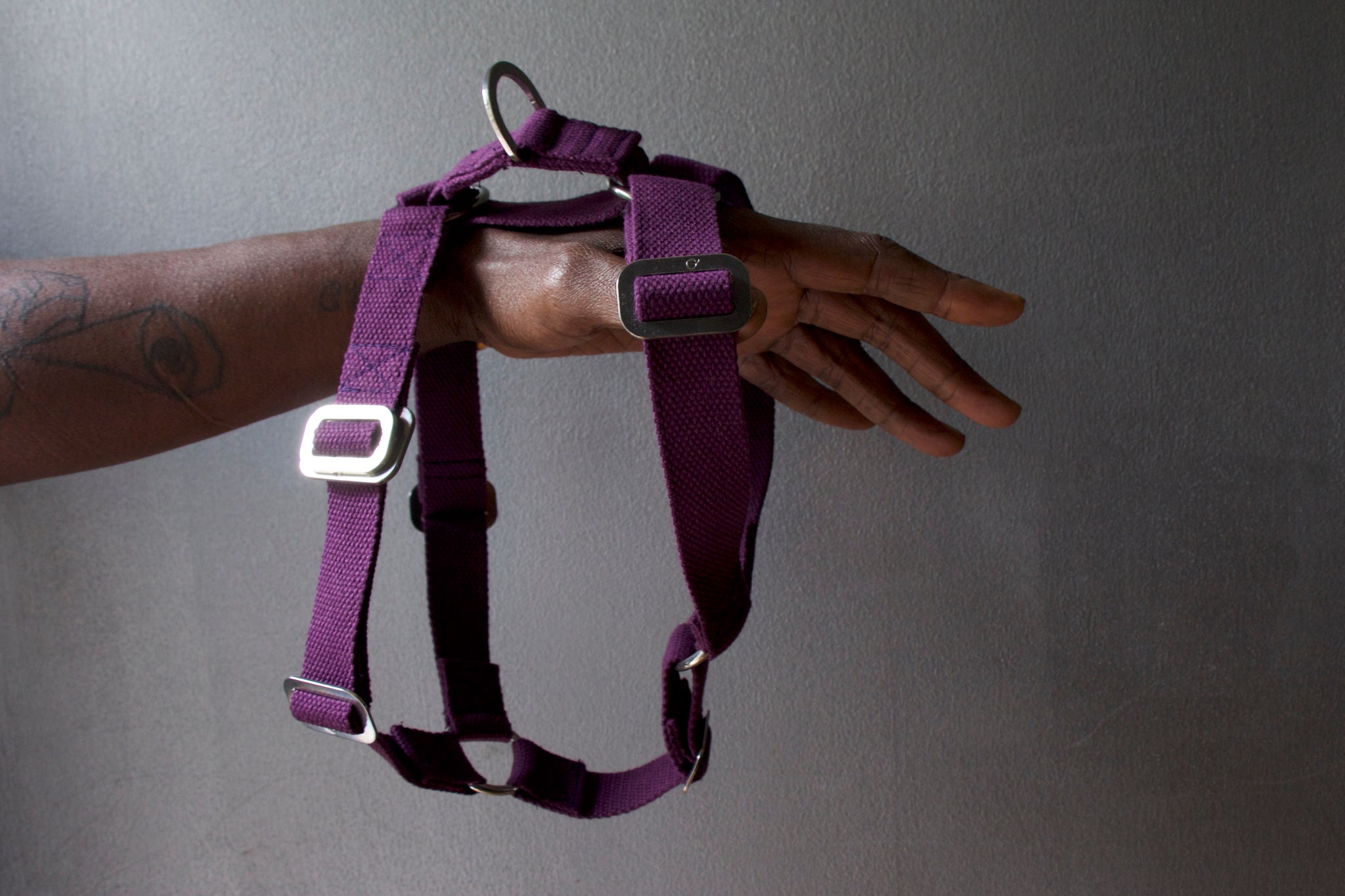 purple harness for dog