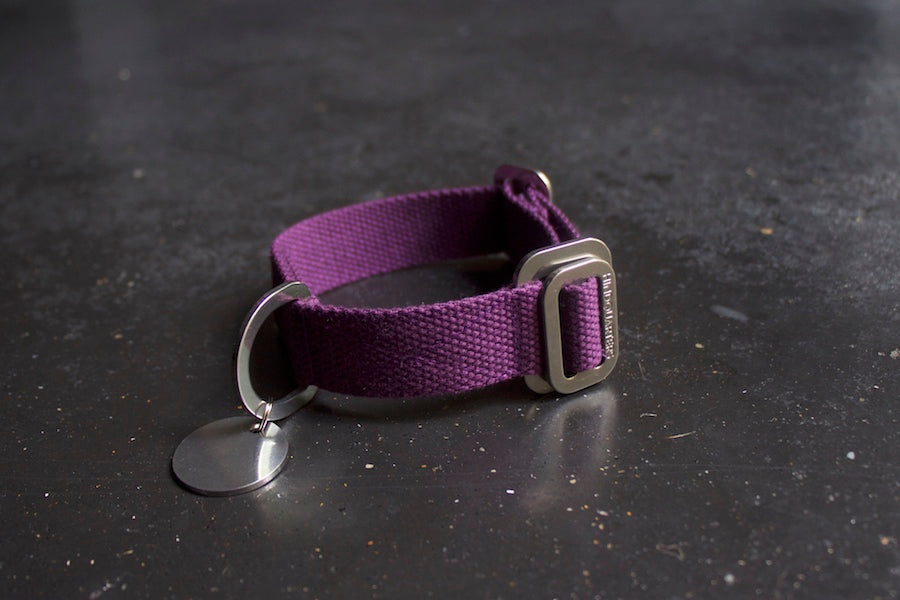 purple collar small size
