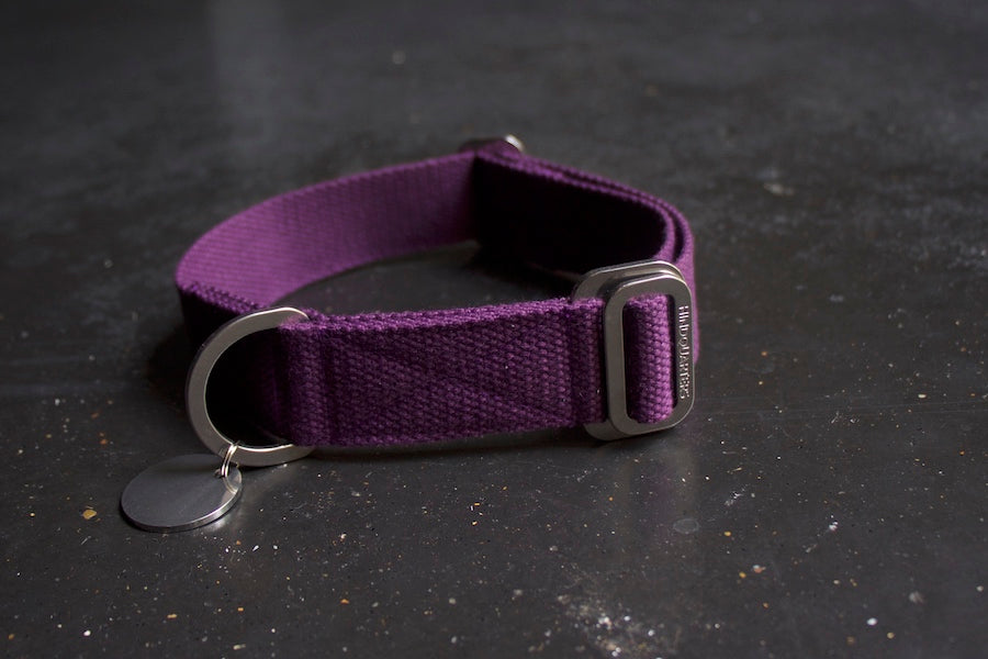 purple dog collar large size
