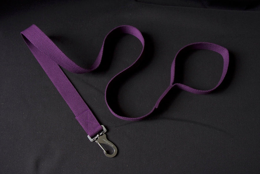 purple lead with comfy handle