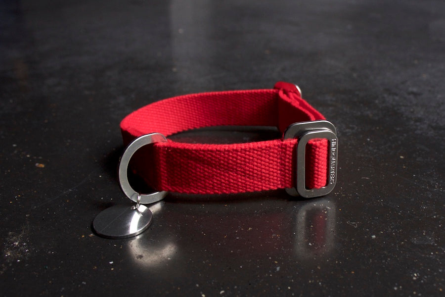 red collar for small dog