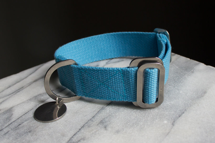 sky blue dog collar