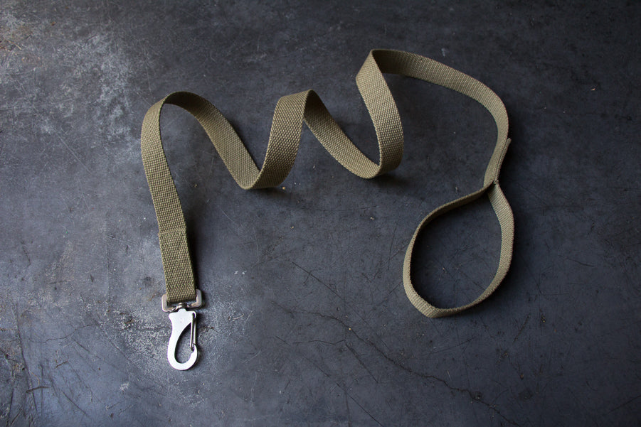 slim khaki dog lead