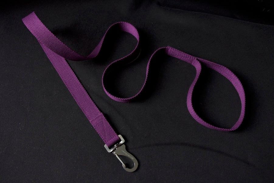 slim purple dog lead