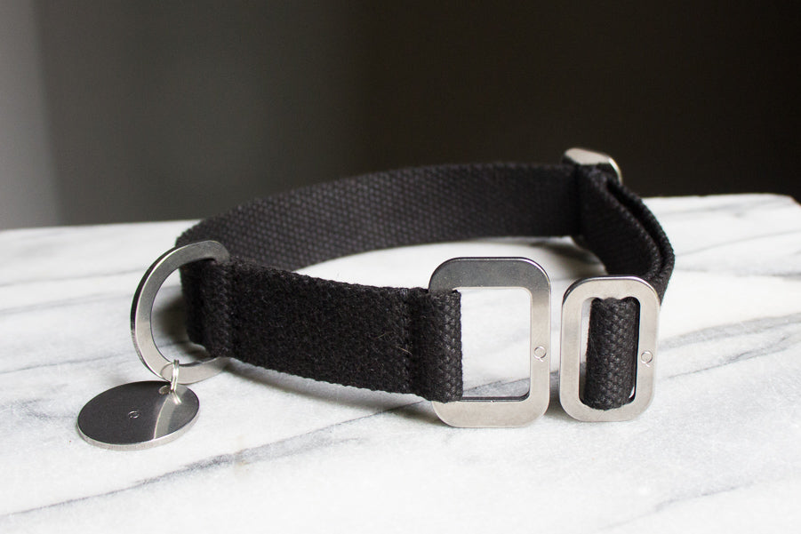 black dog collar with steel